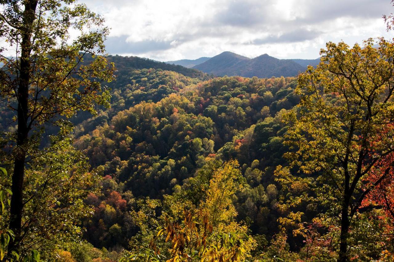 Cherokee Mountain Cabins Llc Hotel Topton Esterno foto