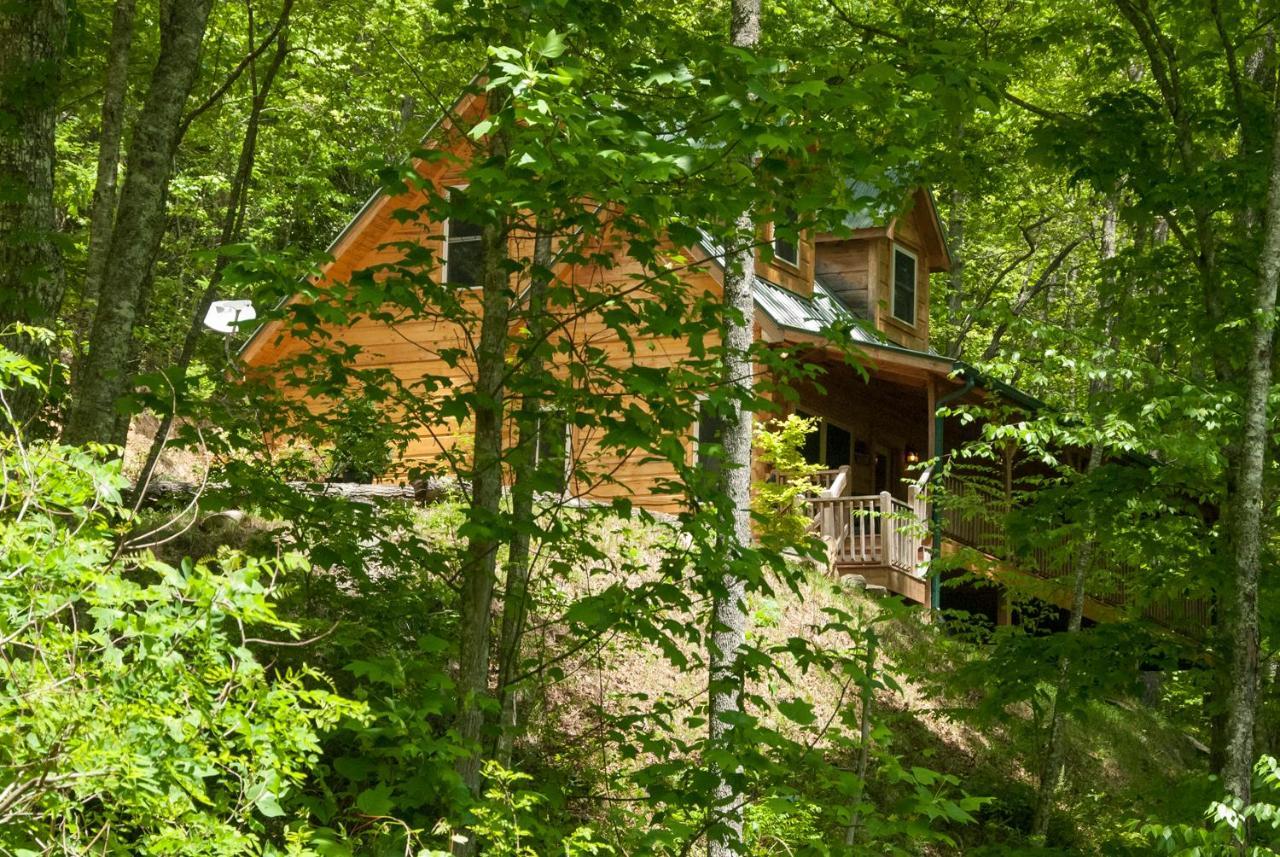 Cherokee Mountain Cabins Llc Hotel Topton Esterno foto